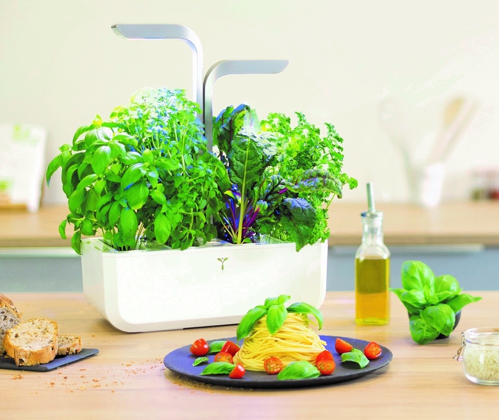 Chytrý květináč Véritable SMART bílý Chytrý květináč Véritable SMART v reálné kuchyni