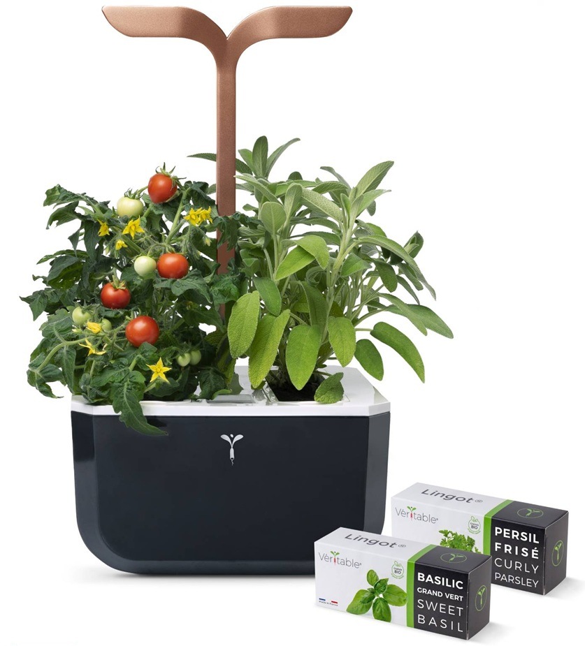 Chytrý květináč Véritable Exky SMART s ukázkou sazenic