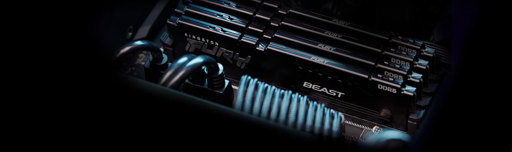 DIMM Kingston FURY Beast Black EXPO 16 GB (1× 16 GB) (KF564C32BBE-16)