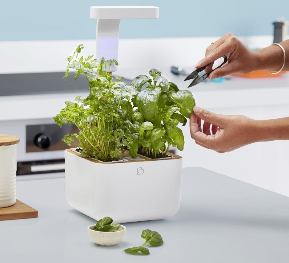 Chytrý květináč Véritable BOTANEO v interiéru kuchyně