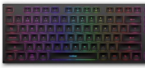 Klávesnice Niceboy Oryx K110 černá Klávesnice Niceboy Oryx K110 s RGB podsvícením