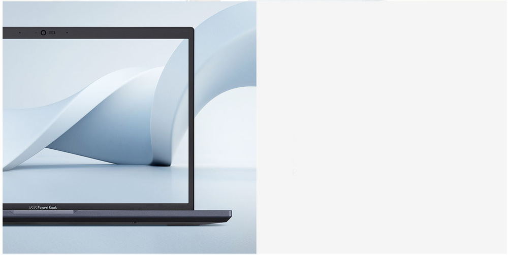 Asus ExpertBook L2 (L2402C)