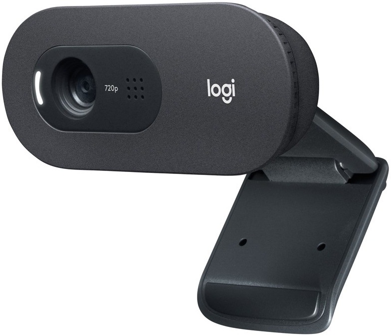 Webkamera Logitech C505 HD černá