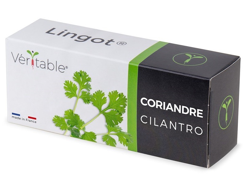 Semínka Véritable Lingot Koriandr