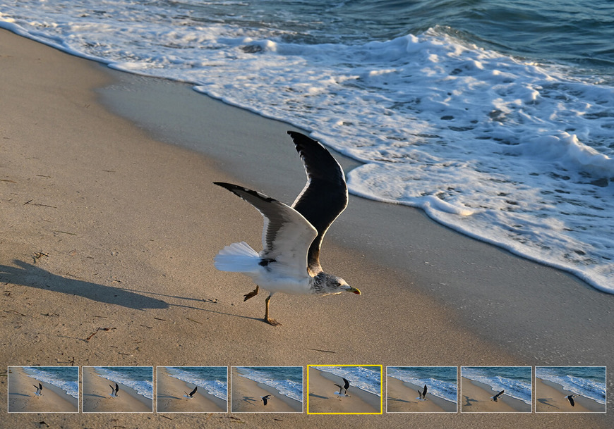 Digitální fotoaparát Nikon Z 5II + 24-70 mm f/4 S černý Nikon Z 5II, černá