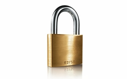 Žehlička Bosch TDA3024020 bílá/modrá