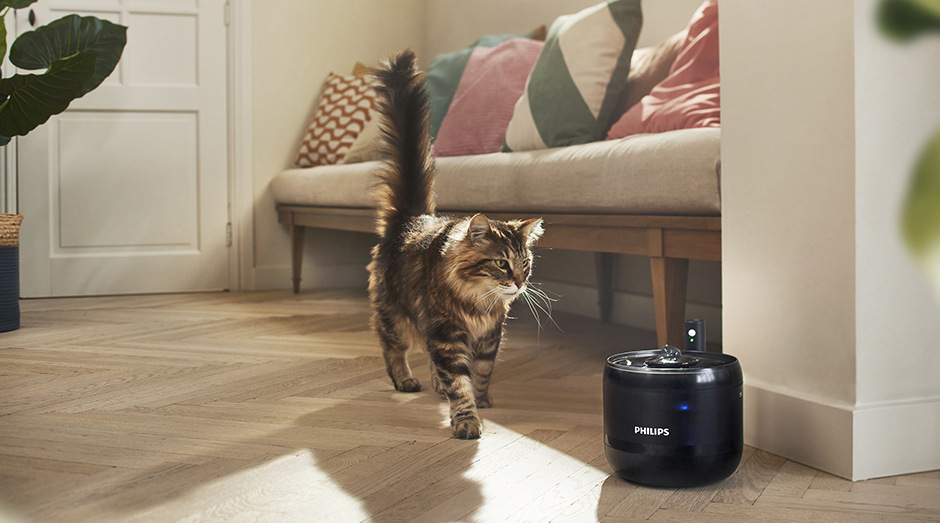 Chytrá fontánka Philips PAW3210/02 černá Kočka procházející kolem chytré fontánky