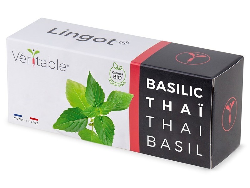 Semínka Véritable Lingot Thajská bazalka BIO