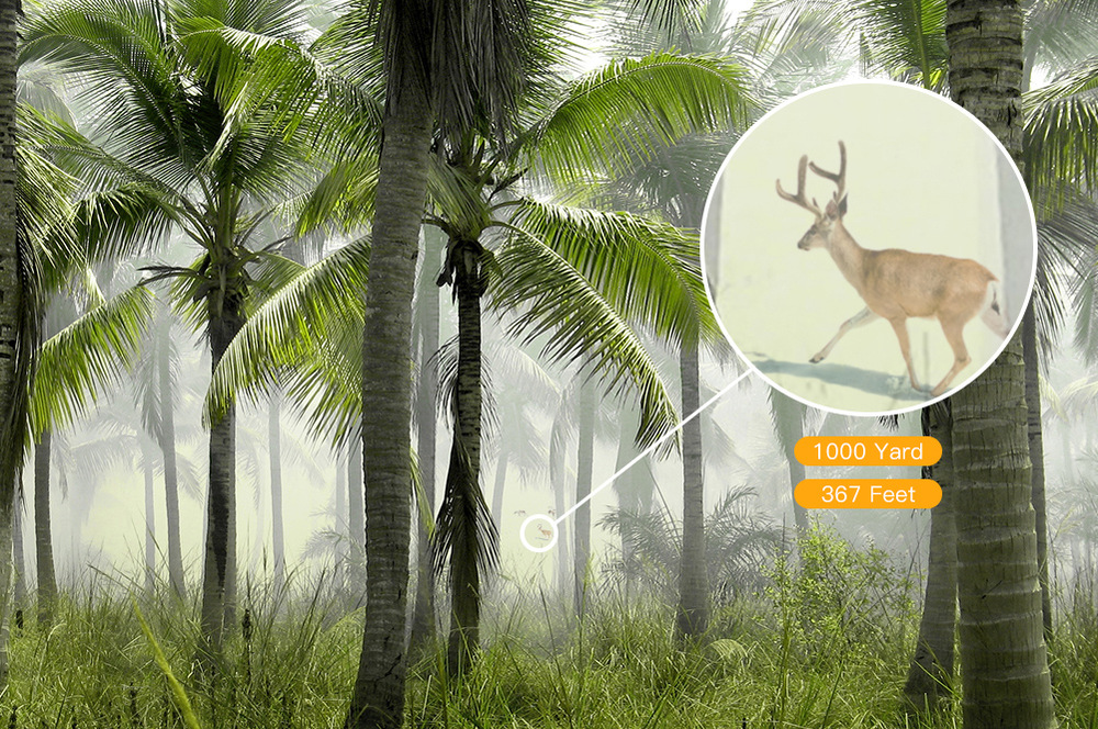 Dalekohled Apeman BC100, 10x42 černý Dalekohled Apeman BC100, 10x42 černý