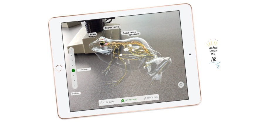 iPad (2018)
