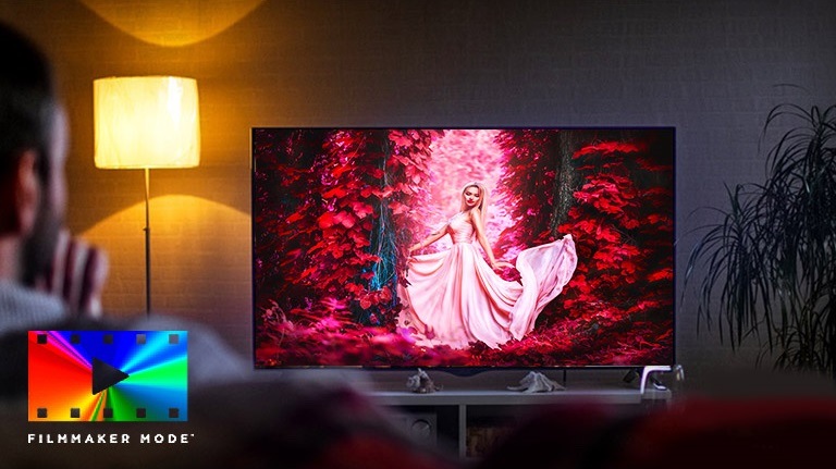 Televize LG 55NANO90 Televize LG 55NANO90