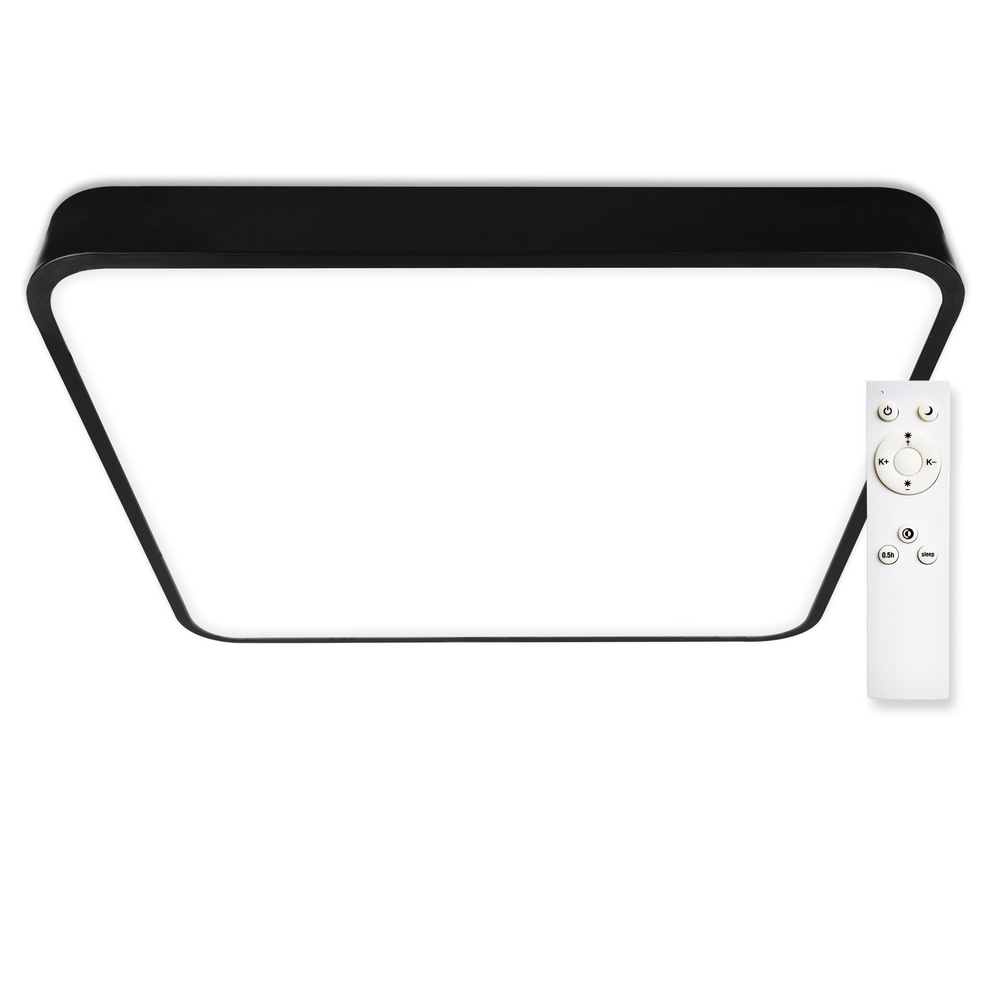 Stropní svítidlo Top Light Metal H 60C RC černé