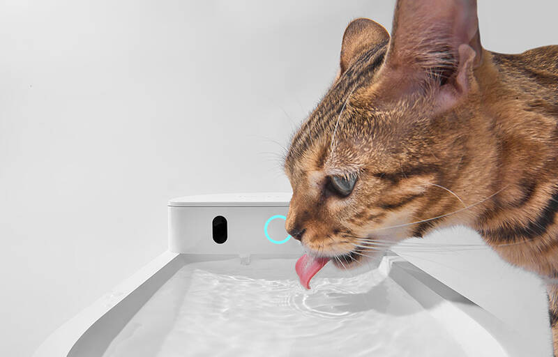 Chytrá fontánka Catlink Pure 3 bílá
