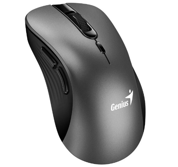 GEN31030040401