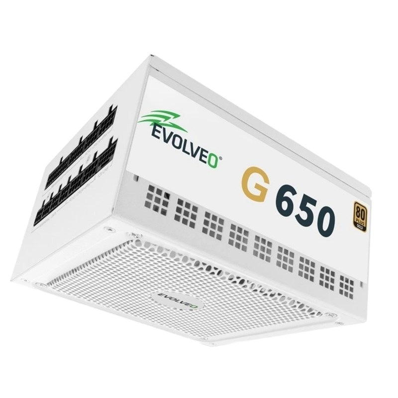 Zdroj Evolveo G650 80+ Gold, 650W, ATX 3.1
