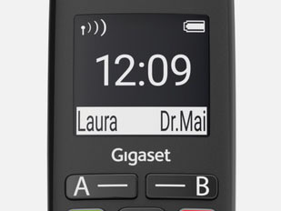 Domácí telefon Gigaset E290 černý
