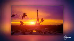 Televize Philips 48OLED806