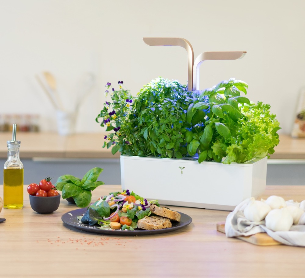 Chytrý květináč Véritable CONNECT bílý/champagne Chytrý květináč Véritable CONNECT v kuchyni