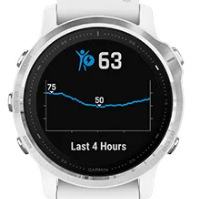 Chytré hodinky Garmin fenix6S Glass stříbrné/bílé