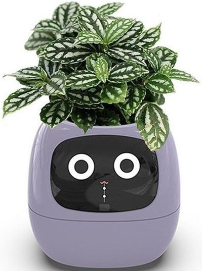 Chytrý květináč Plantsio IVY - fialová