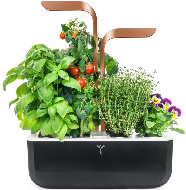 Chytrý květináč Véritable SMART s vypěstovanými bylinkami