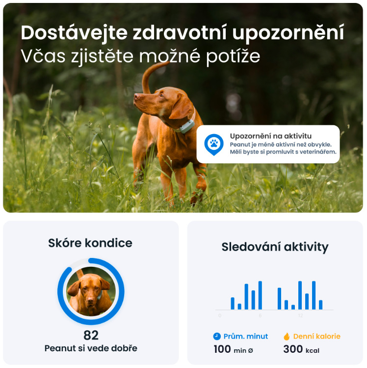 GPS lokátor Tractive DOG 6 - mentolový
