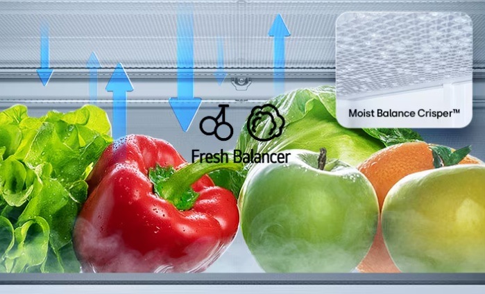 Chladnička s mrazničkou LG GBBS727AEV černá Zásuvka FRESH Balancer™ s ovocem a zeleninou. Znázorněno udržování rychlosti skrze Moist balance Crisperr™.