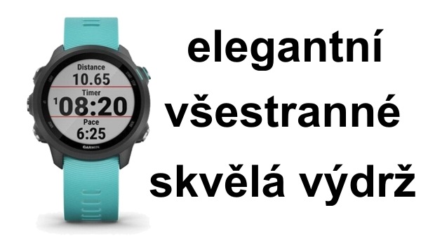 Chytré hodinky Garmin Forerunner 245 Music Optic modré Music Optic - aktivity