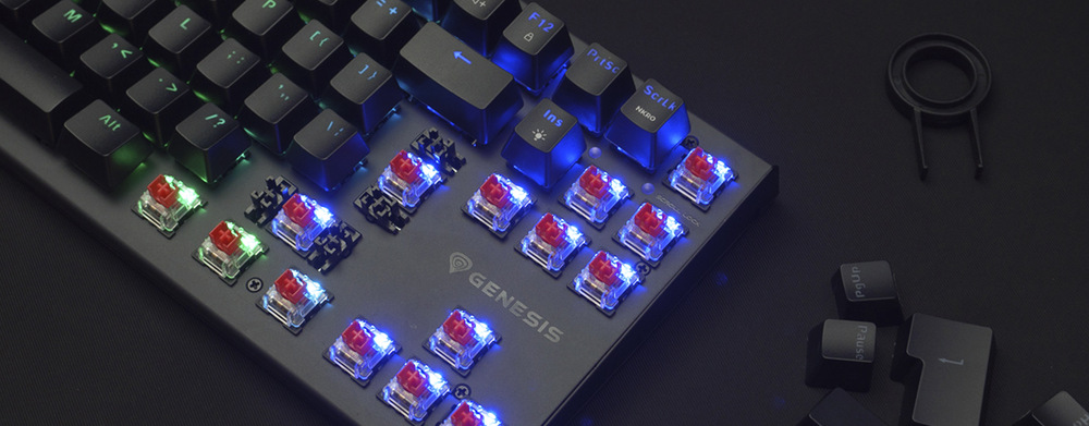 Klávesnice Genesis THOR 230, TKL, RGB, Outemu Red, bezdrátová, US layout bílá Genesis THOR 230 TKL RGB Outemu Red US (NKG-2165)
