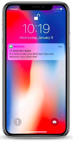 Alkoholtester BACtrack Mobile Anti-cheat Alkoholtester BACtrack Mobile Anti-cheat