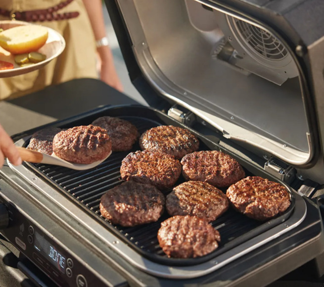 Gril Ninja OG850EU Woodfire Pro XL Electric Outdoor BBQ Grill & Smoker černý/šedý Gril Ninja OG850EU Woodfire Pro XL Electric Outdoor BBQ Grill & Smoker černý/šedý