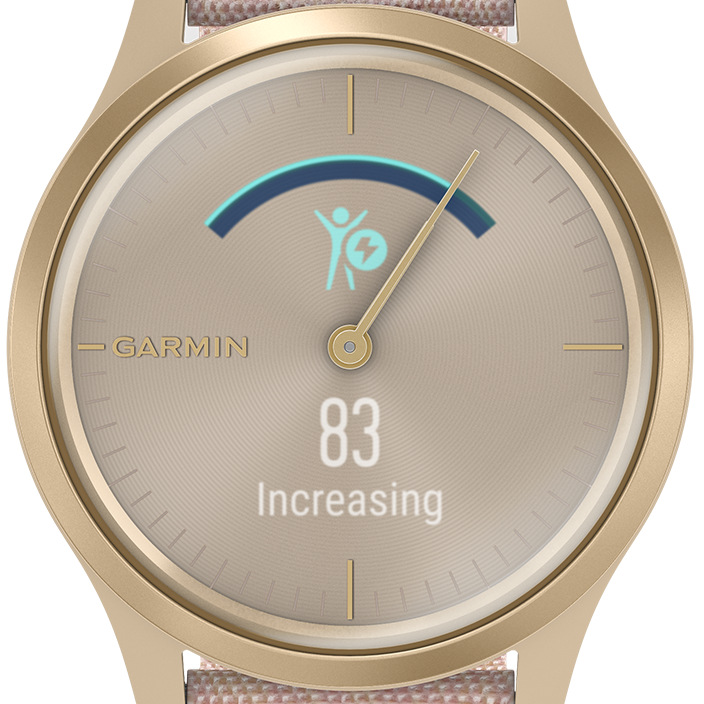 Chytré hodinky Garmin vivomove3 Style Silver / Green