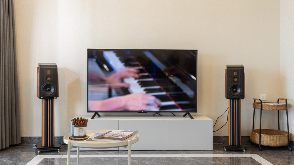 Reproduktory Swan M300MKII (2 ks) hnědé Reproduktory Swan M300MKII na stojanech jsou součástí domácího stereo systému u televizoru
