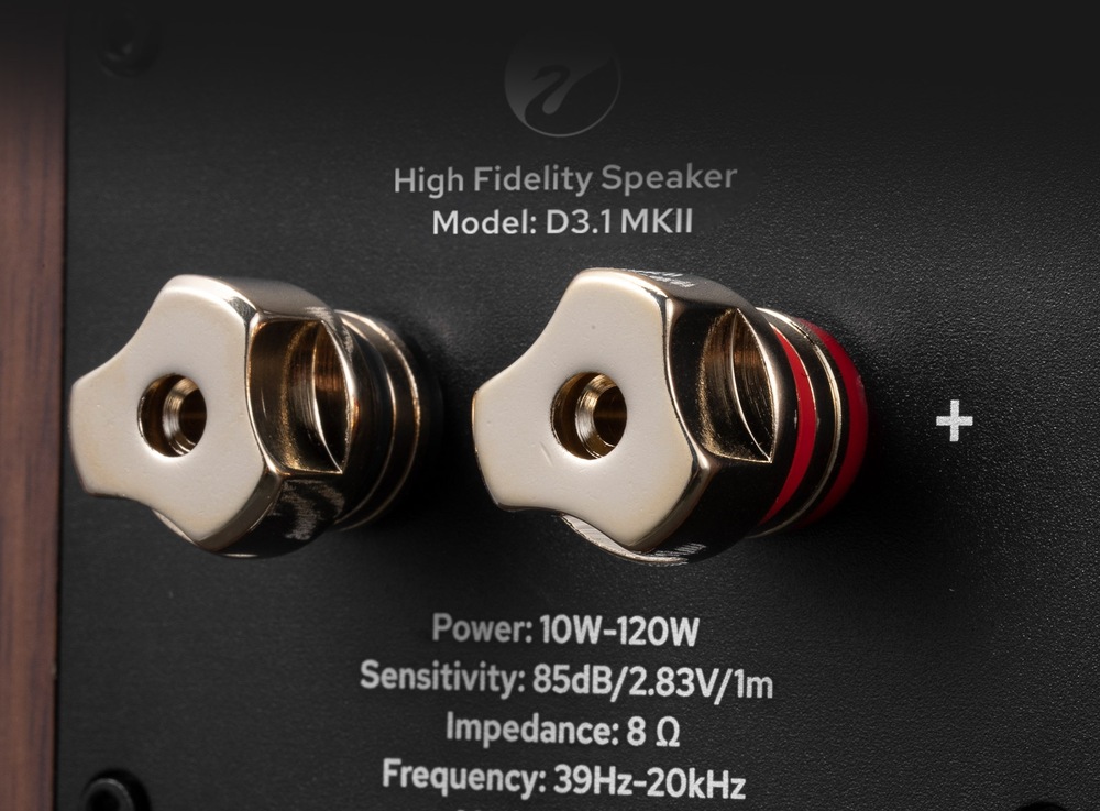 Pozlacené reproduktorové svorky na zadní straně modelu Swan D3.1MKII