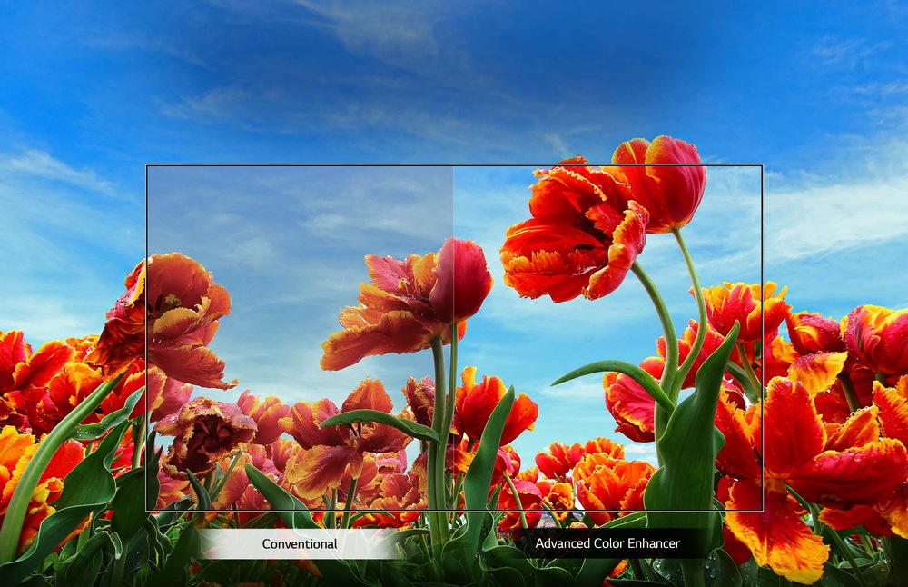 Televize LG 32LM550B