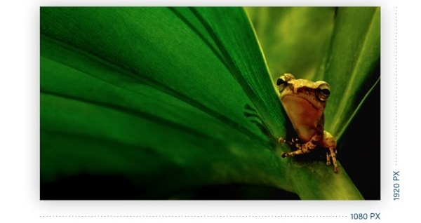 Monitor AOC 24B2XHM2