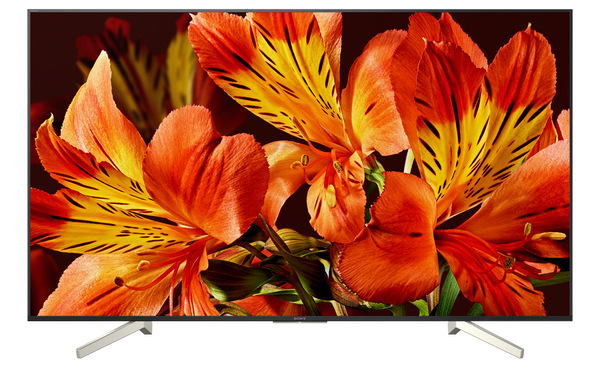 Televize Sony KD-55XF8505