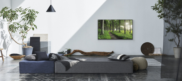 Televize Sony XR-65X93J