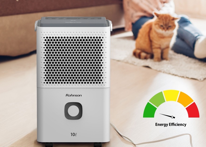 Rohnson R-91310 True Ion & Air Purifier, bílá
