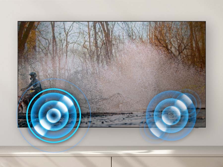 Televize Samsung QE55S92CA