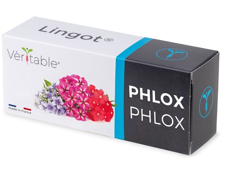 Semínka Véritable Lingot Flox