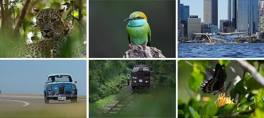 Fotografie různých objektů pořízené pomocí Sony Alpha 6700 s precizním automatickým zaostřováním a rozpoznáváním
