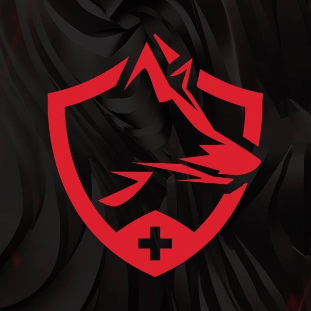 Pevný disk 3,5" Seagate IronWolf 6TB šedá barva Logo červeného štítu se stylizovaným vlkem a horou na vířícím černém pozadí. Symbol kříže pod ním dodává pocit síly a ochrany.