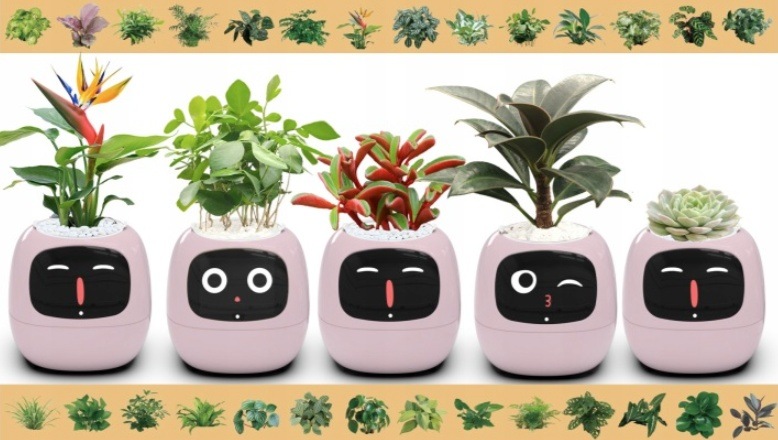 Chytrý květináč Plantsio IVY fialový Chytrý květináč Plantsio IVY - fialová