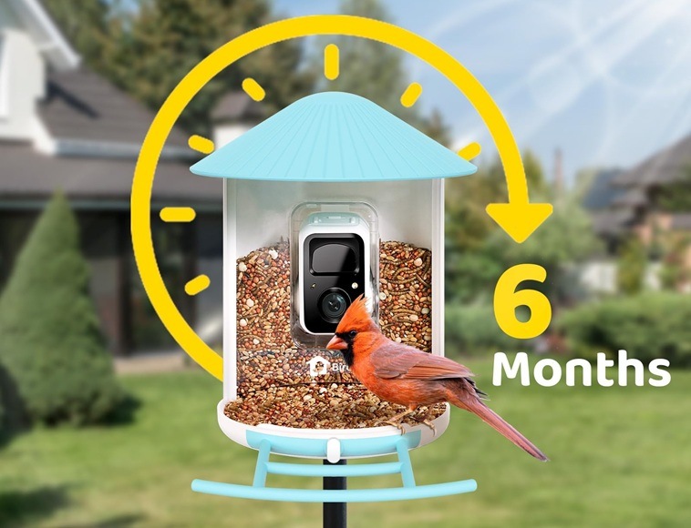 Ptačí krmítko Birdfy s kamerou (AI předplatné) Detail obrázku krmítka na zahradě s ptákem.