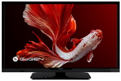 Televize GoGEN TVH 24P452T