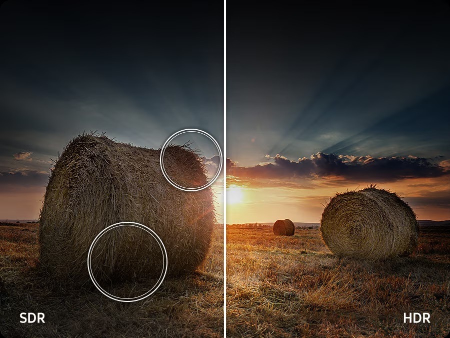 Srovnání obrazu SDR a Quantum HDR, záběr pole ozářeného sluncem, vlevo SDR, vpravo HDR