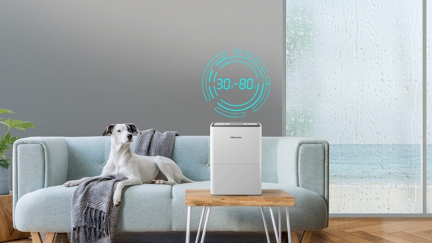 Odvlhčovač Hisense D12HW bílý Odvlhčovač vzduchu Hisense D12HW, bílá, funkce pro sušení prádla