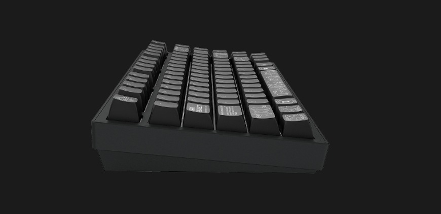 Klávesnice Dark Project ALU Terra Nova R2 US černá