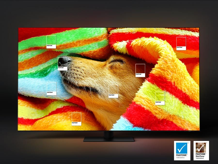 Pes zabalený do barevné deky, označené odstíny Pantone v různých částech záběru
